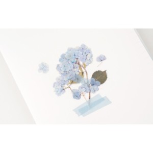 押し花ステッカー商品画像2