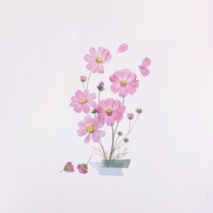 押し花ステッカー商品画像1