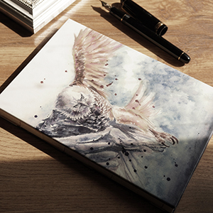 アートノートブック「空の狩猟者」商品画像