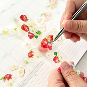 Fruits Deco PET Sticker