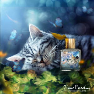 Colours of Catasy – PAW PAW –画像