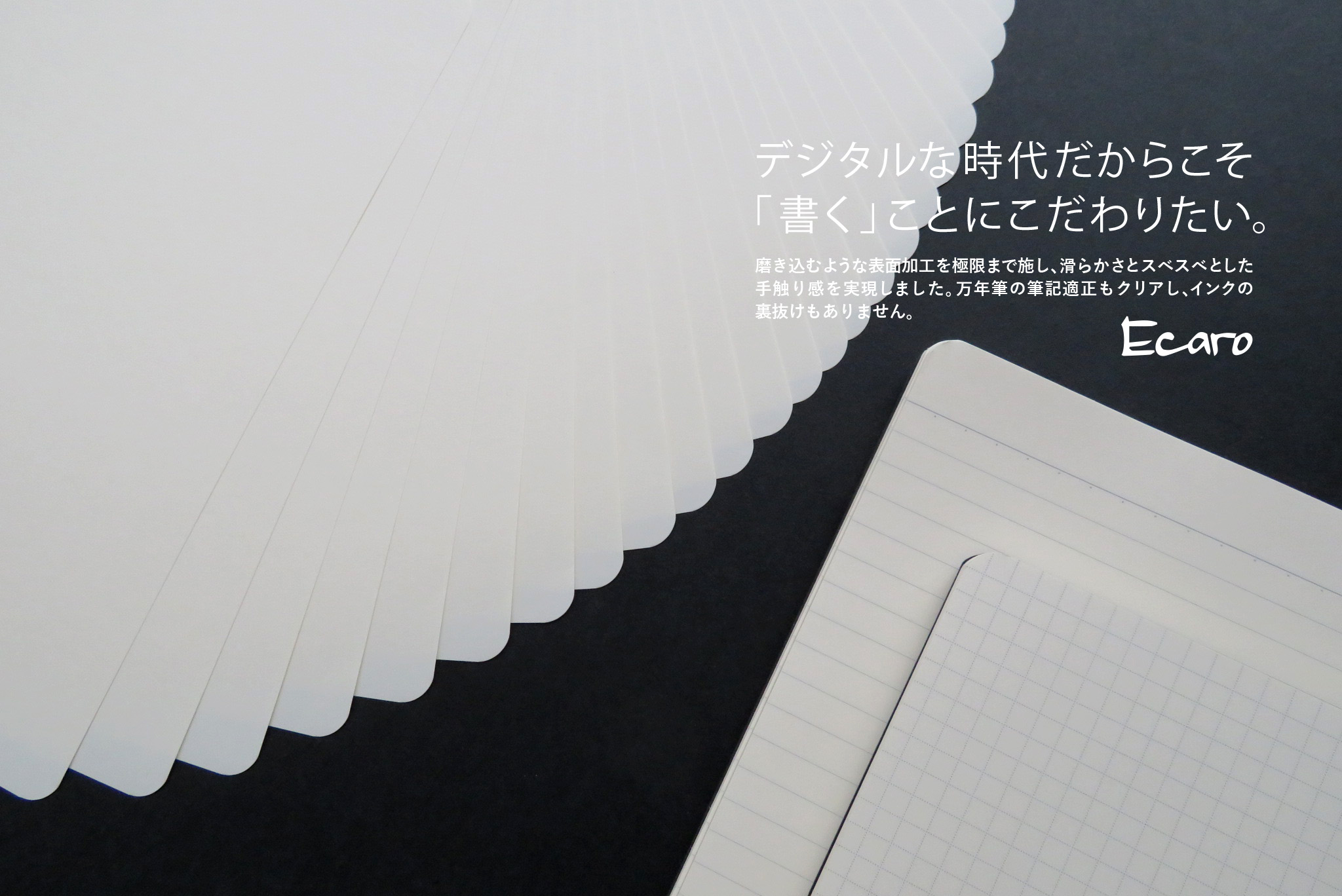 エカロジャパン株式会社
